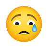 :icons8-crying-face-100: